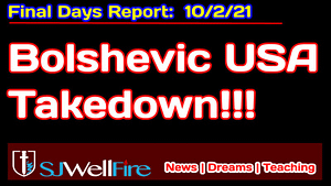 Boshevic Takedown USA