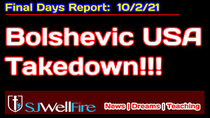 Boshevic Takedown USA