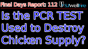 Chicken Supply PCR