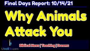 FDRAnimalsAttack